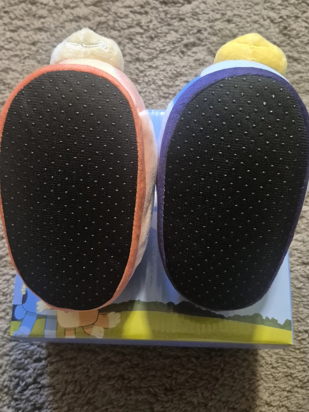 Bluey Slippers - Brand New With Box!! Never Worn